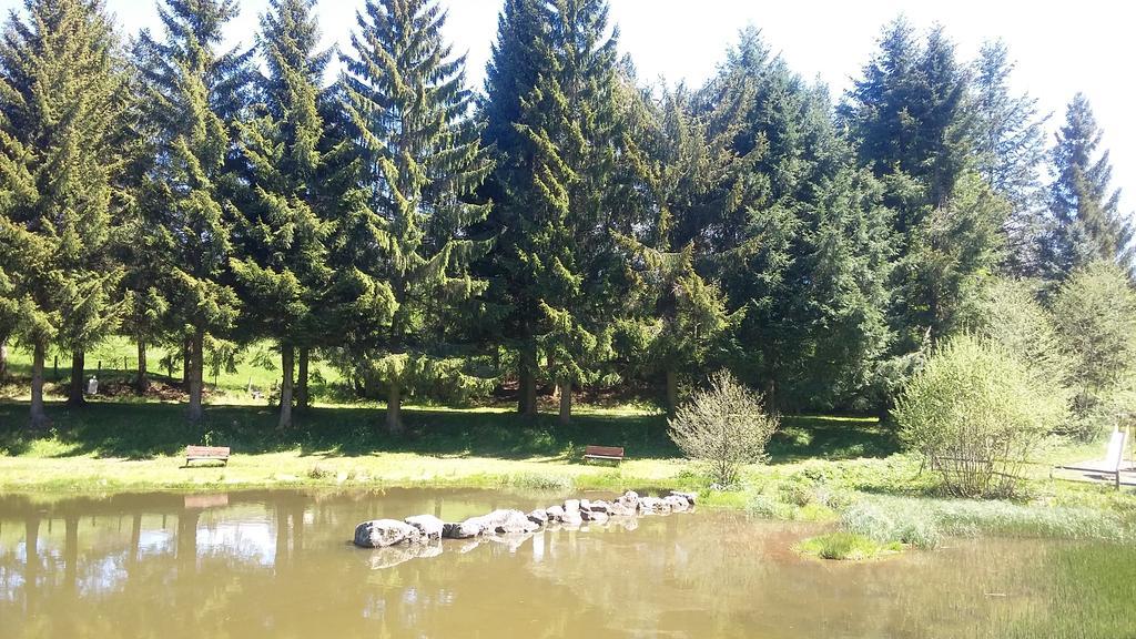 Camping De Flechat Hotel Orcival Exterior foto